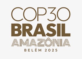 Foto ilustrativa da publicação